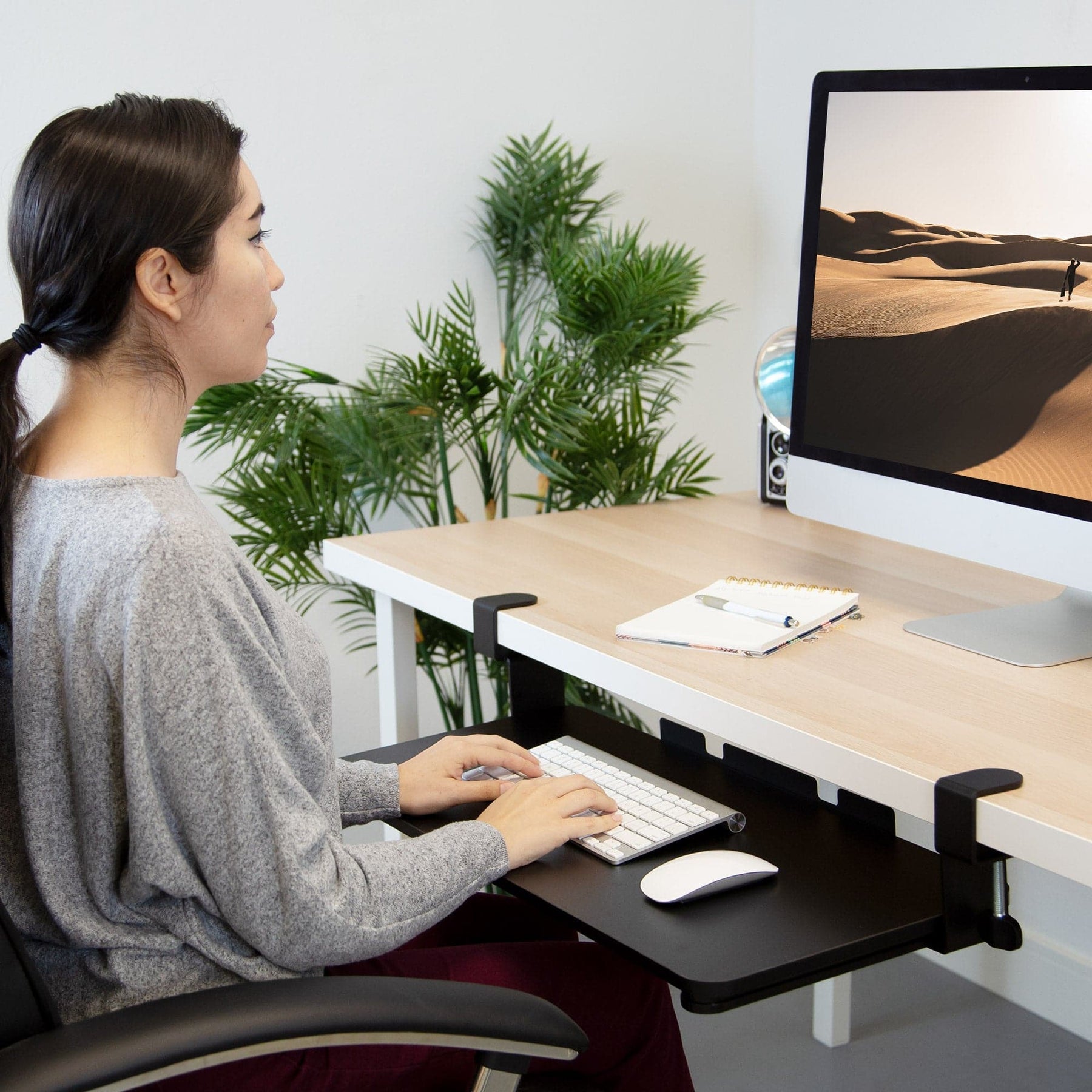 tray in use with desk and computer