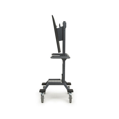 Explorer Display Cart