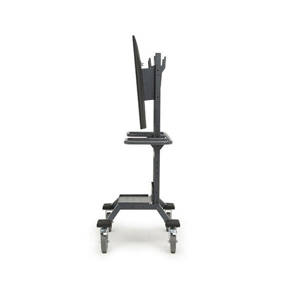 Explorer Display Cart